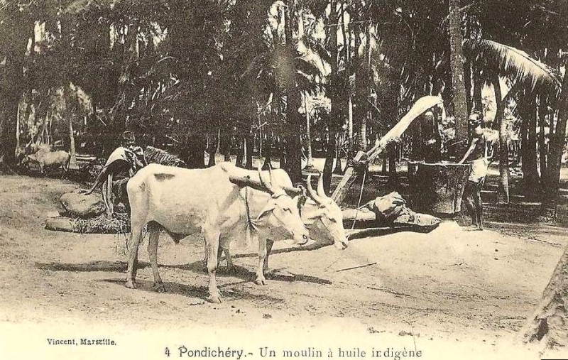 13-15 - Pondichery - moulin a huile - 2